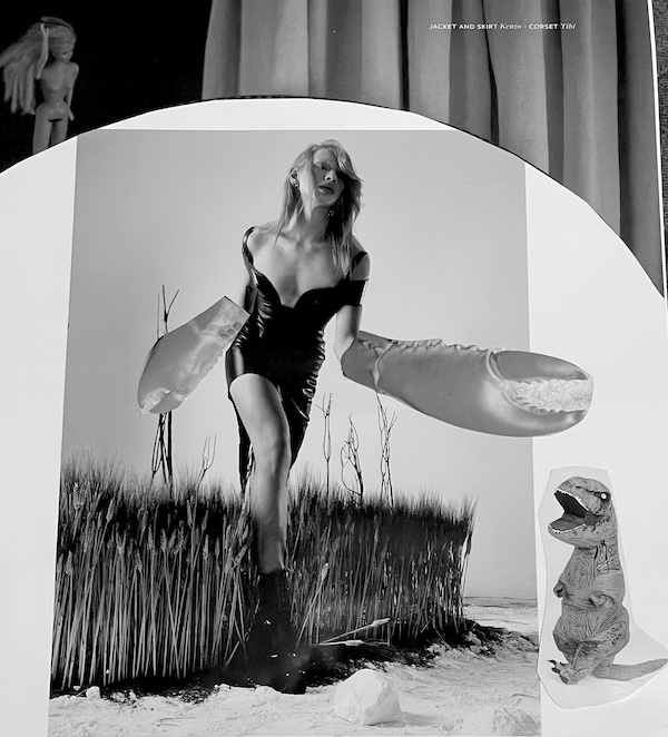 Crustacean Woes: A Full Moon in&nbsp;Cancer