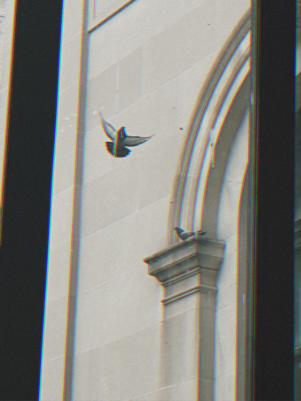 Pigeon as Pyschopomp: A Gemini New&nbsp;Moon