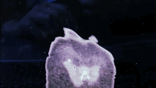 “I want to be inside your darkest everything.”: A Full Moon in&nbsp;Scorpio