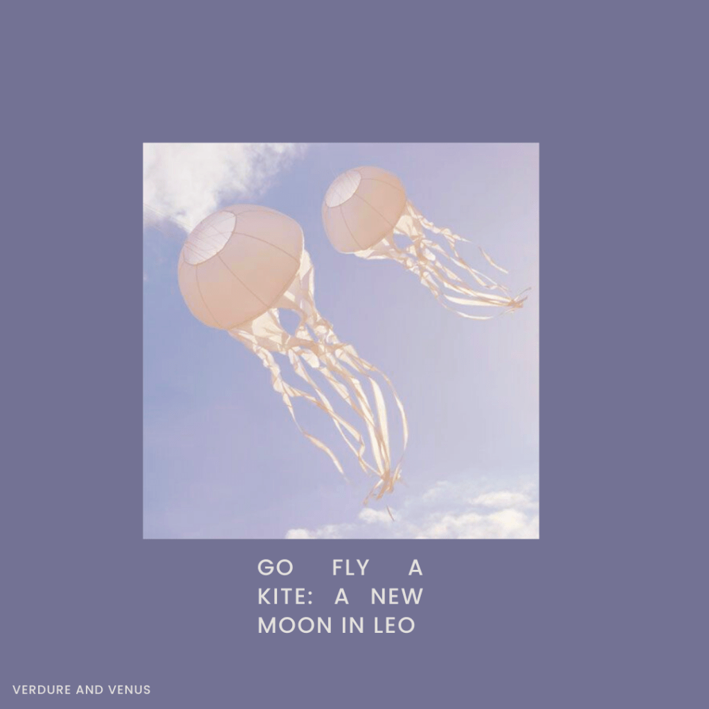 Go Fly a Kite : A New Moon in&nbsp;Leo