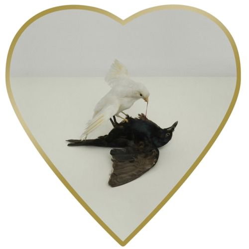 In and Out –  Transits for Week of&nbsp;2/4