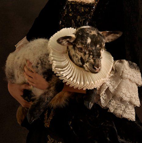 A Full Moon in&nbsp;Cancer